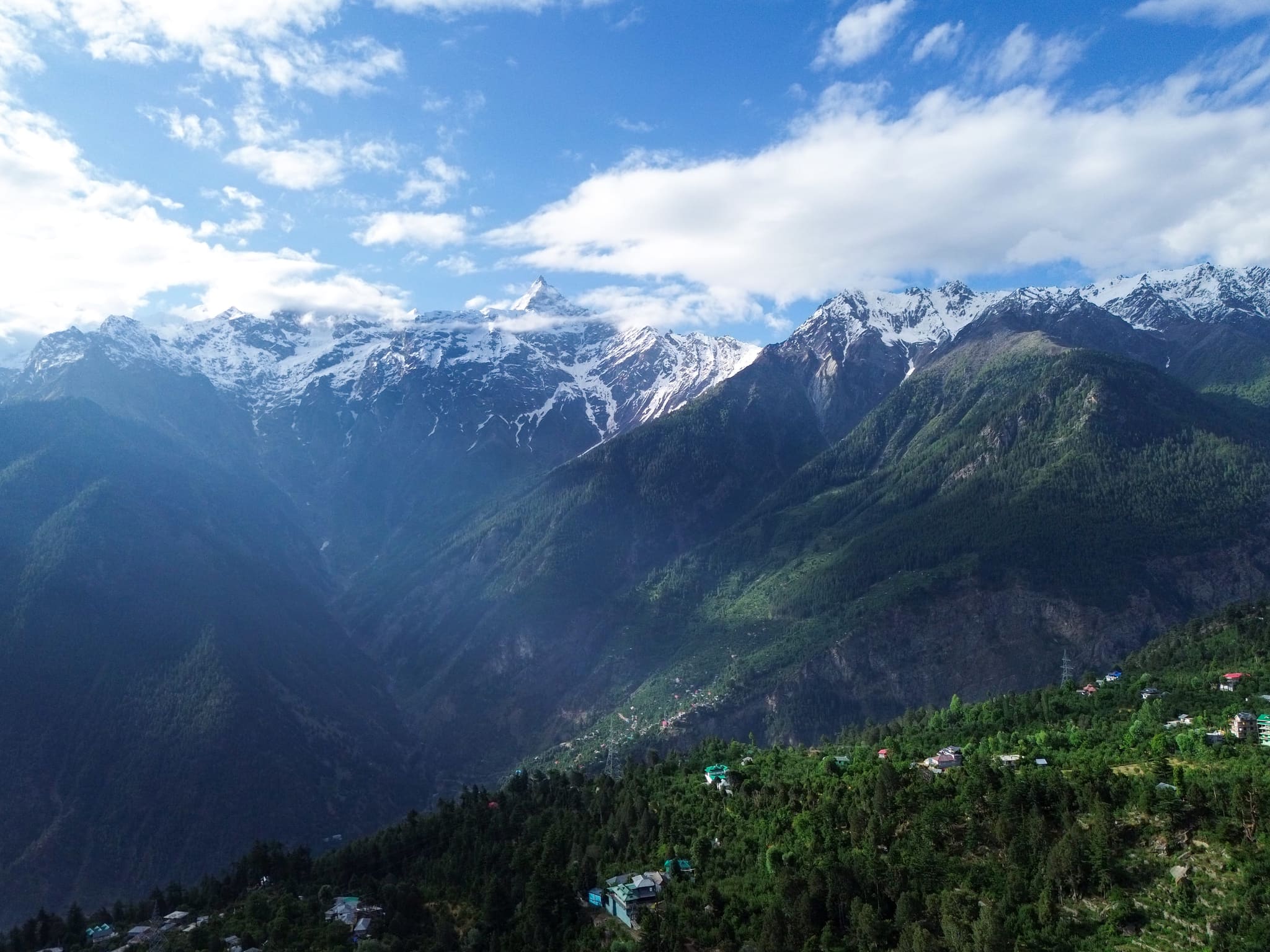 Snow-capped Himalayan peaks above a pine-forested valley